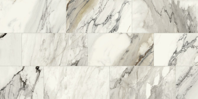 Color Variation Image