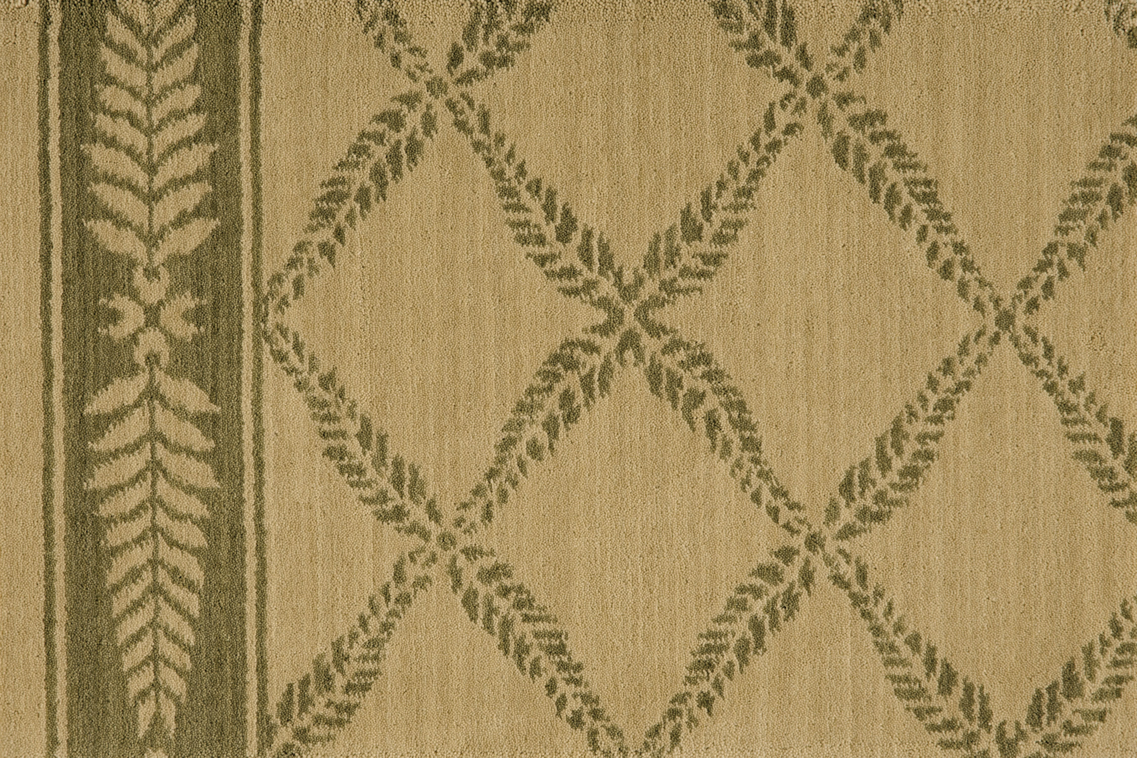 color-rug1