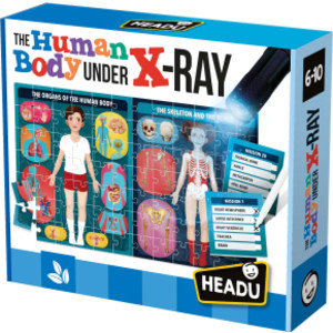 The Human Body Under X-Ray