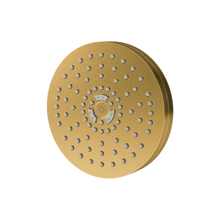 6" Single-Function Showerhead