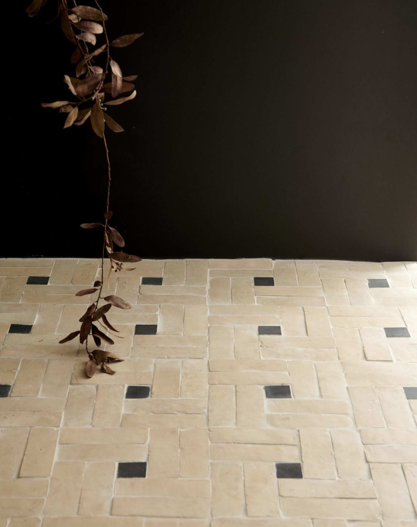 a black and white tiled floor with a plant hanging over it.