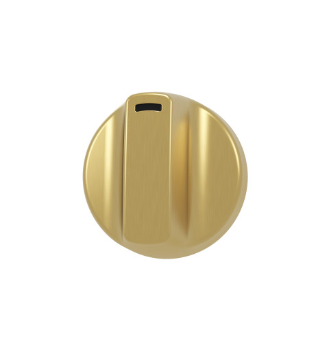 KNOB ASSEMBLY - BRUSHED BRASS