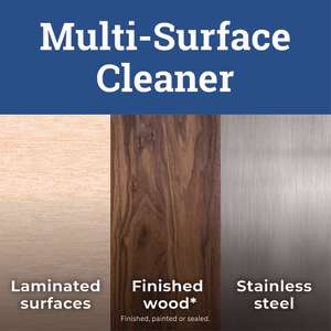 Clorox, CloroxPro Pine-Sol Multi-Surface Cleaner Concentrated, Lavender Clean Scent,  80 oz Bottle