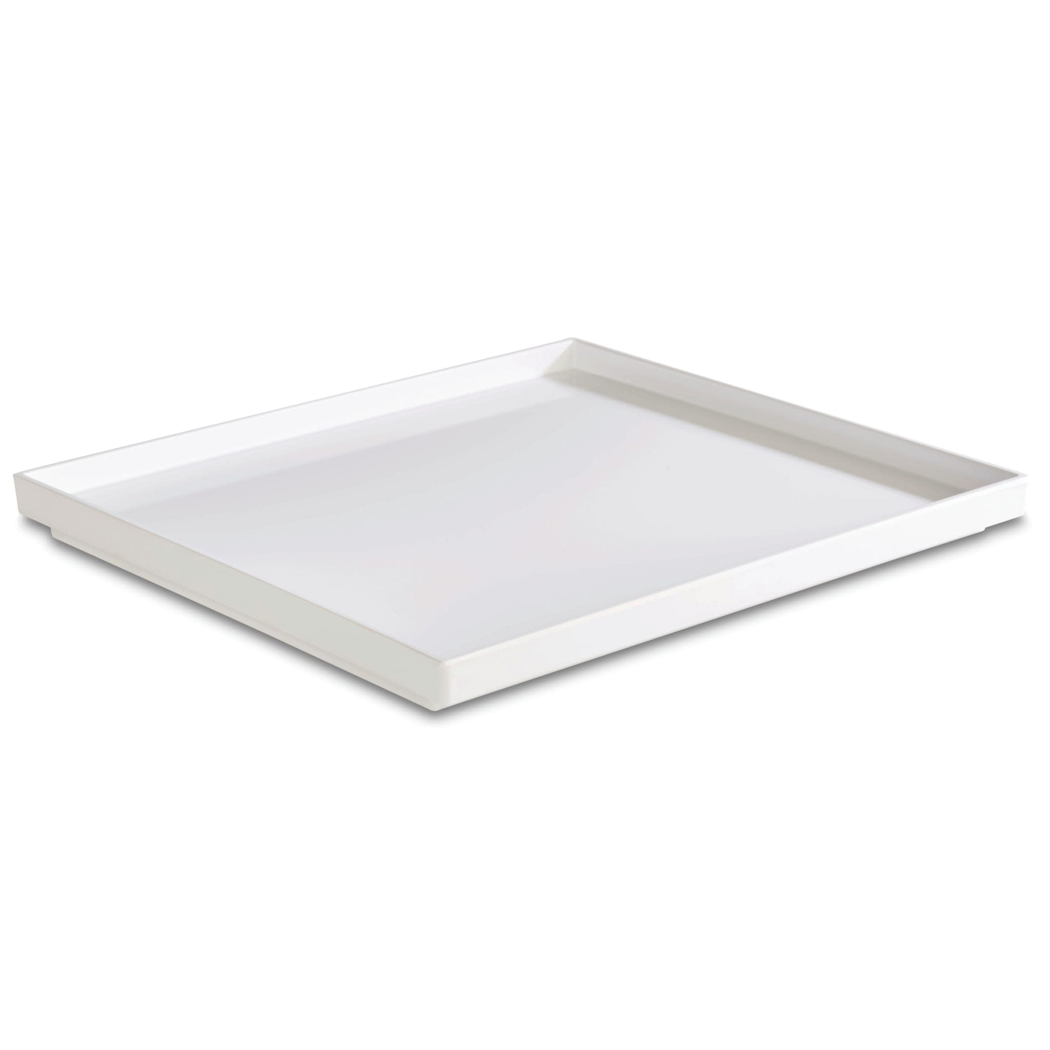 Asia Plus Gn 1/2 Tray