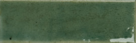 Colour Notes Fennel 2×5 Field Tile Glossy