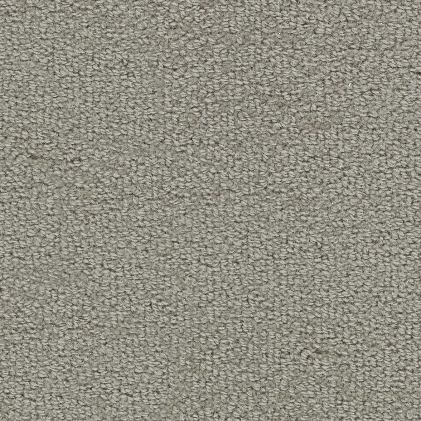 color-rug1