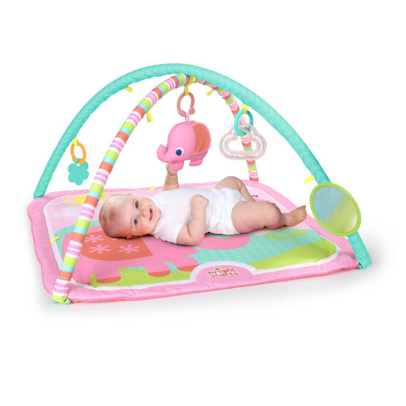 Fanciful Flowers™ Activity Gym
