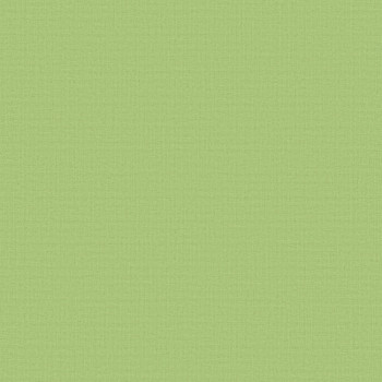 Acacia Blackout Green Vertical blind