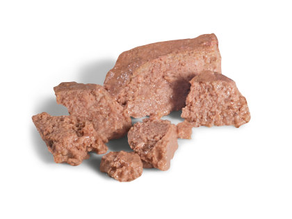 Yorkshire Terrier kibble