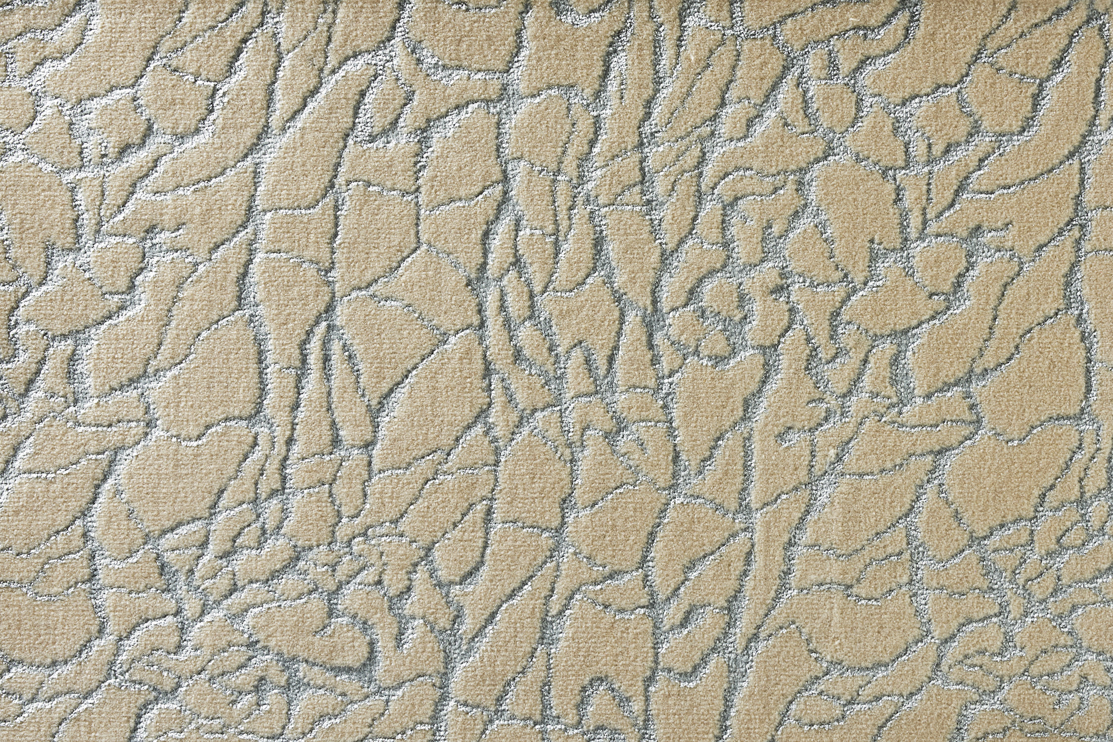 color-rug1