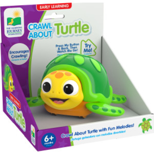 Crawl About Sea Turtle