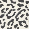 Roar Blackout Black Roller Blind