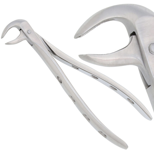 Nordent Atraumatic Forcep #13 Lower Molar, Bird Beak, English Pattern