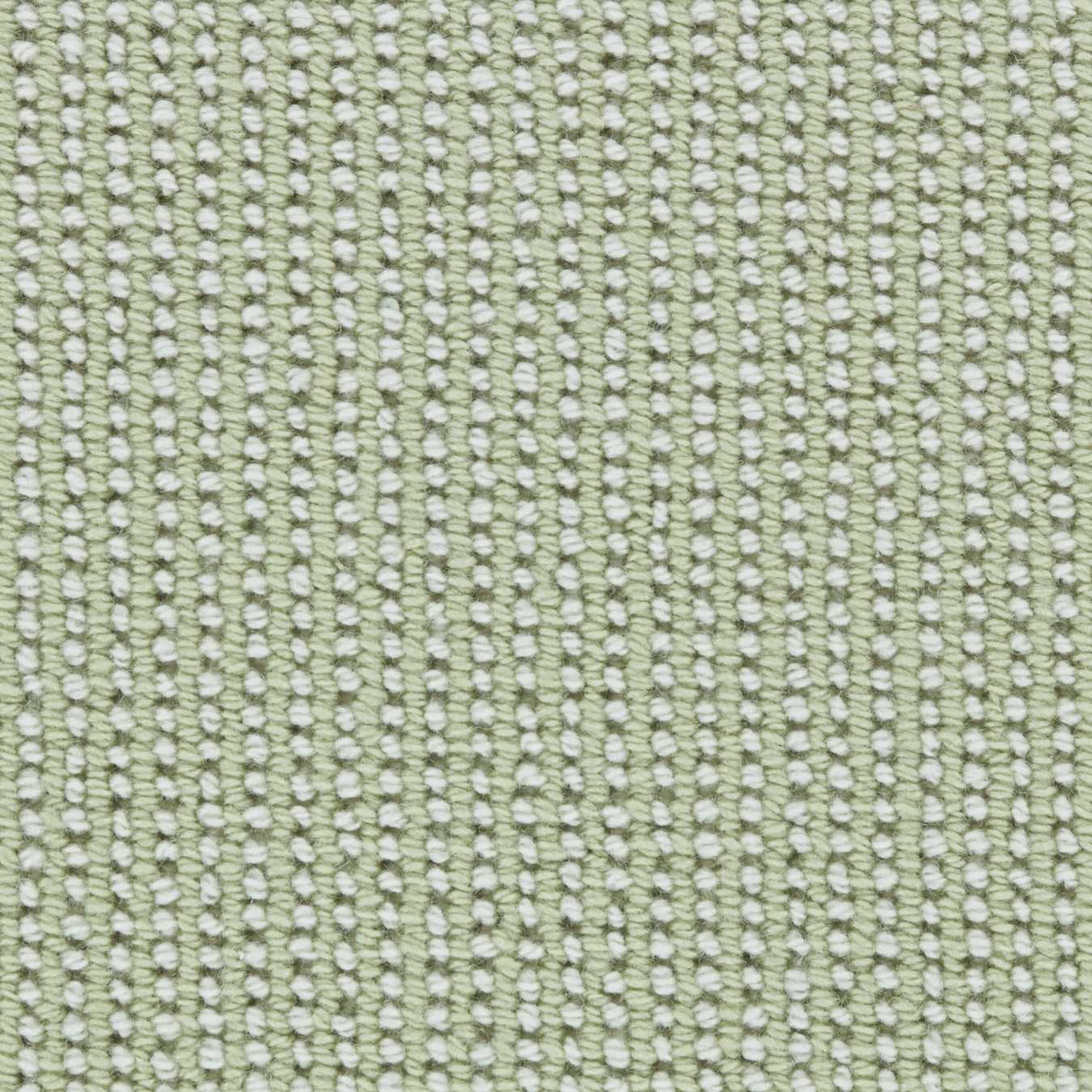 color-rug1