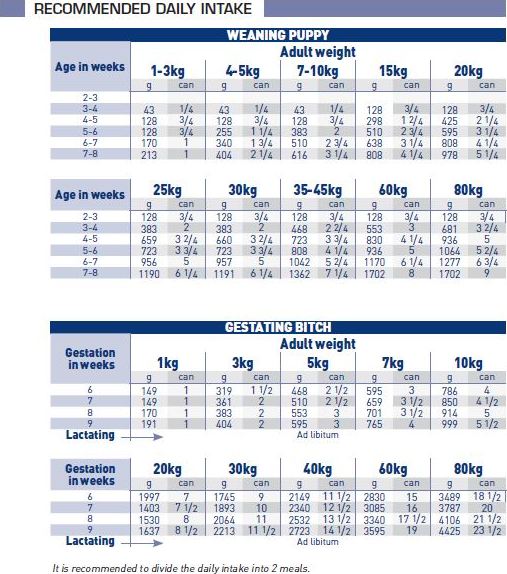 Puppy Tube Feeding Chart