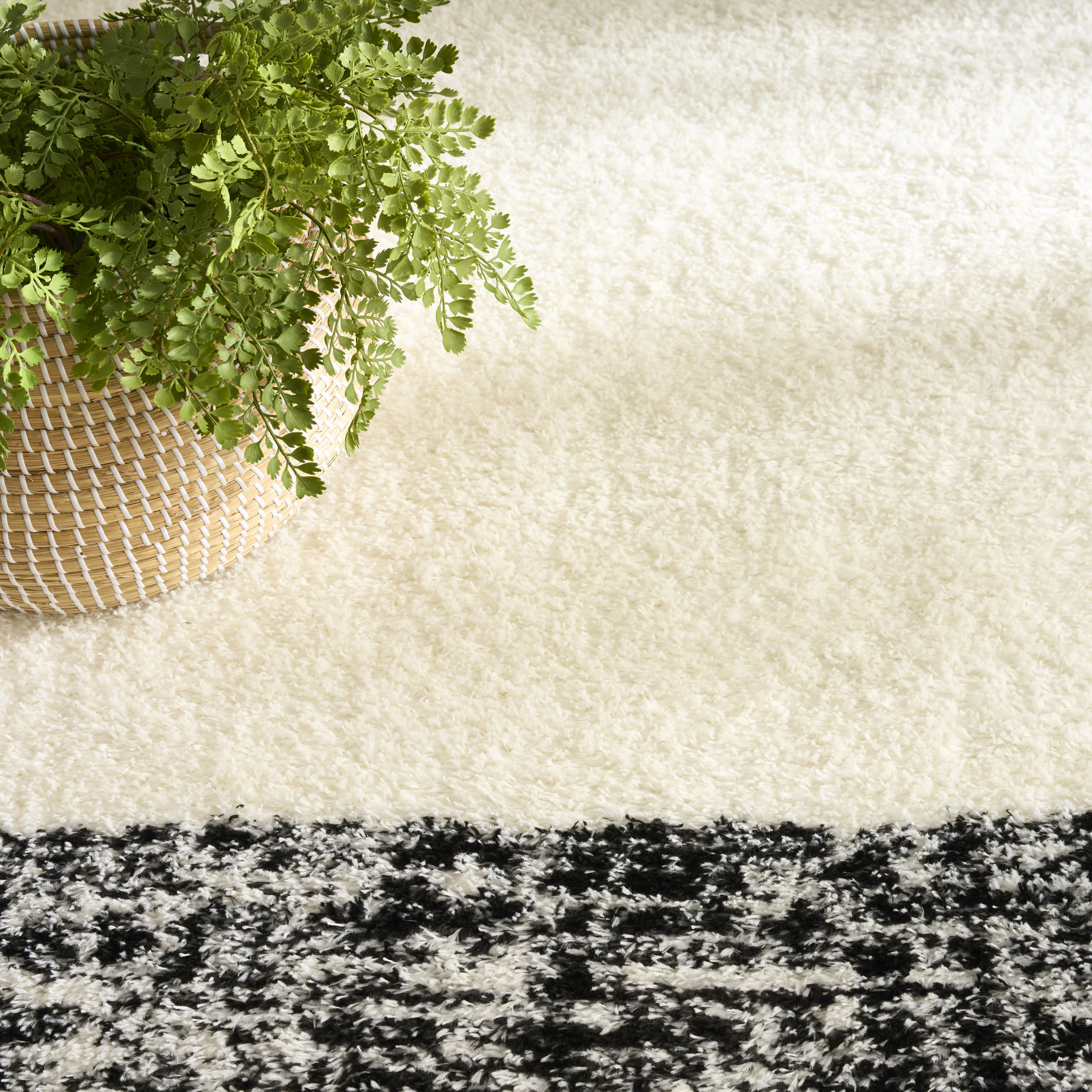 Nourison Pacific Shag 5'3" x 7'3" Ivory Black Shag Indoor Rug
