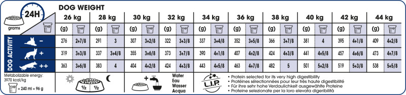 Feeding Guide