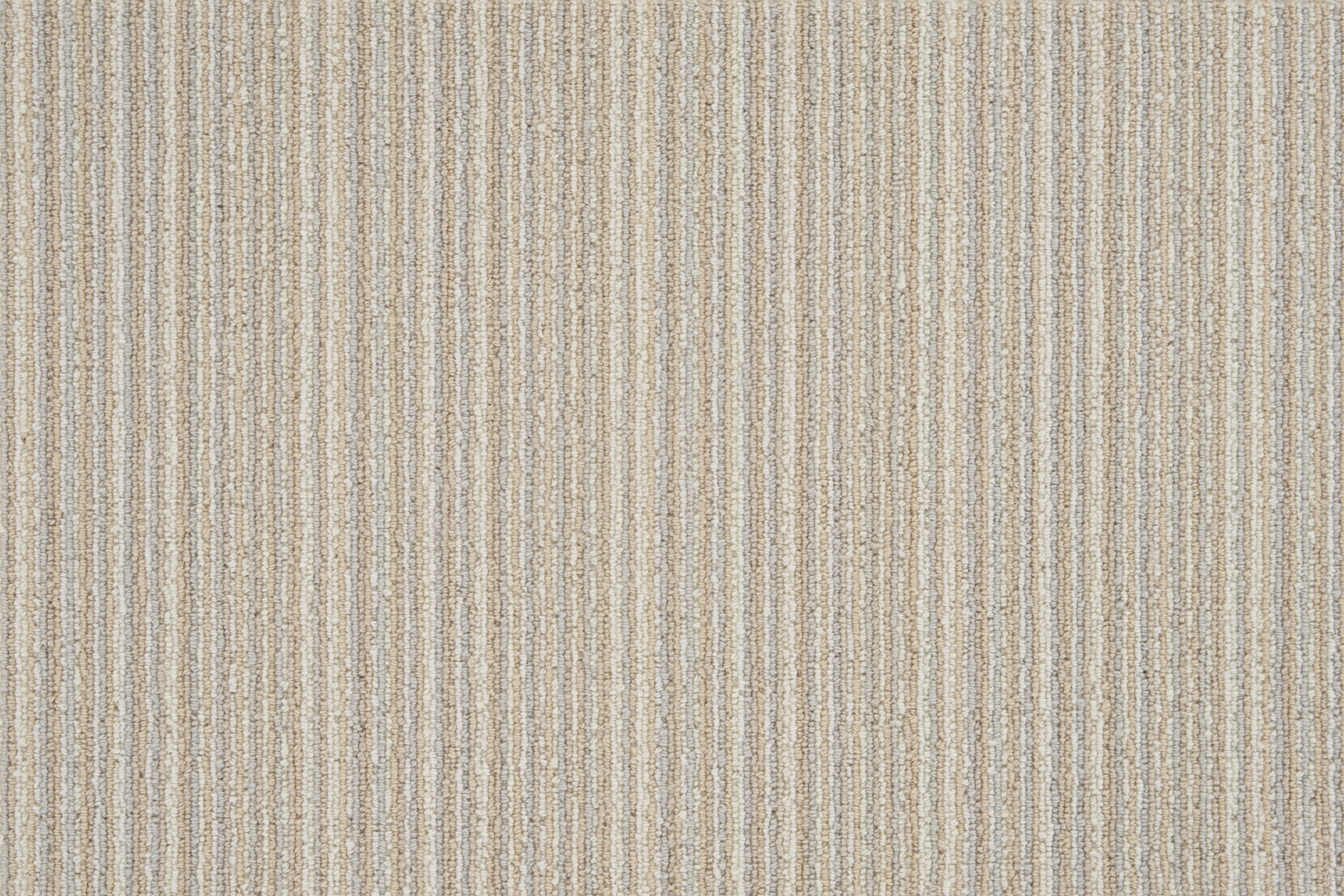color-rug1