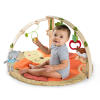 Simply Bright Starts™ Fox & Friends Activity Gym
