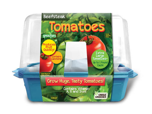 Beefsteak Tomatoes (Sprouter Greenhouse)