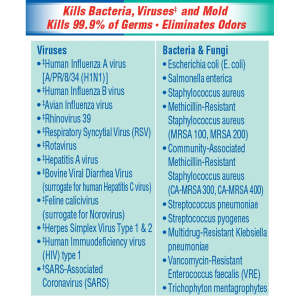 Clorox,  Fresh Scent Disinfecting Spray,  19 oz Aerosol Can