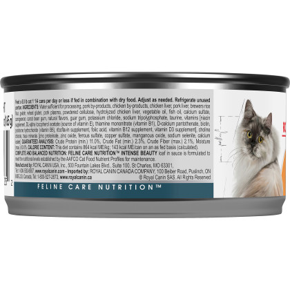Royal Canin Feline Care Nutrition Intense Beauty Loaf In Sauce Canned Cat Food
