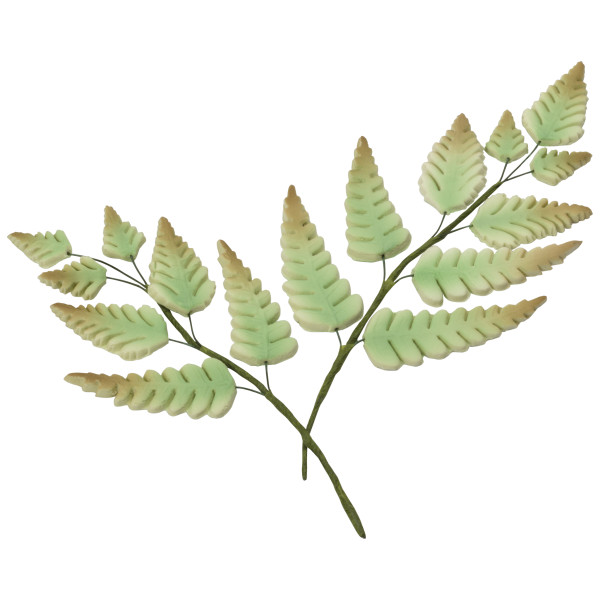 Airy Ferns Gum Paste Flowers