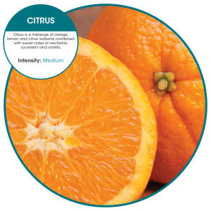 Hillyard, Refresh 2.0, Air Freshener, Citrus