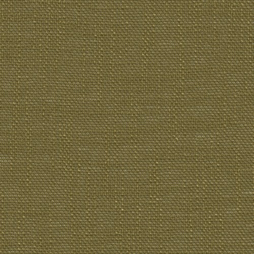 Catalpa Re-Life 18 Curtains