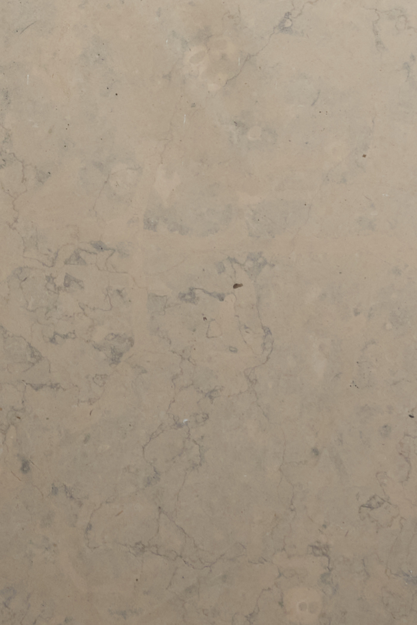 a close up image of a sandy grey limestone surface.