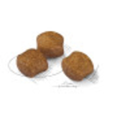 Medium Dental Care kibble