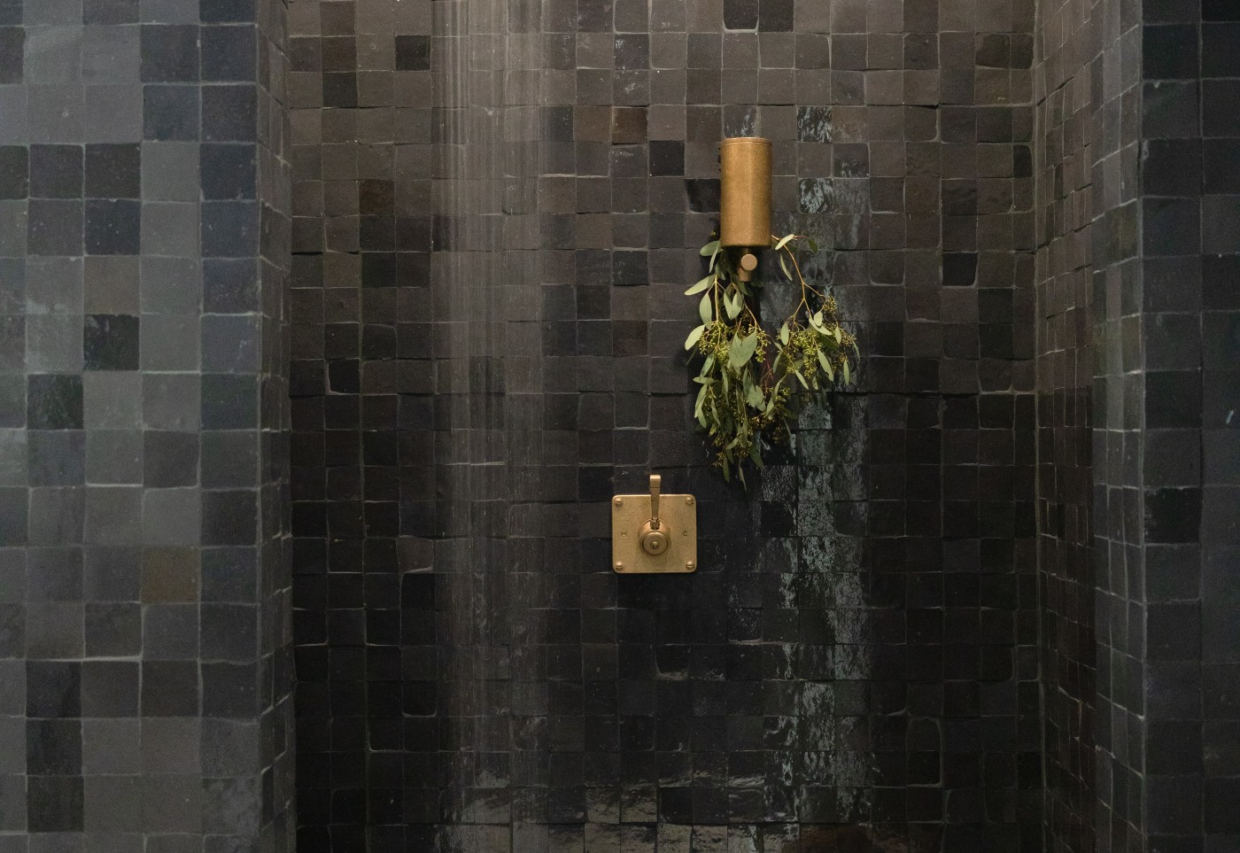 a black tiled shower with a plant in it.