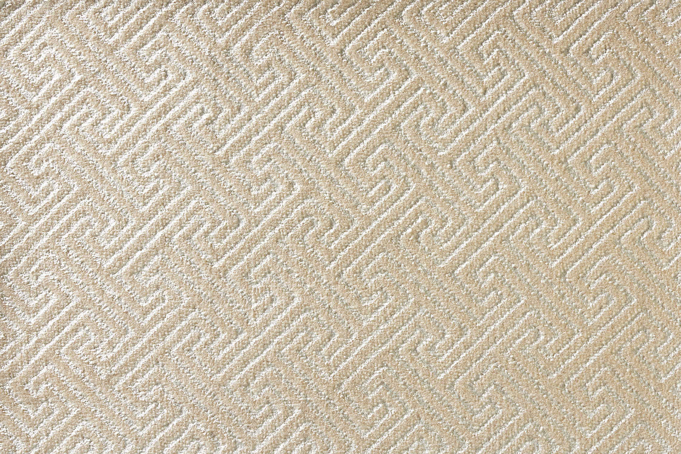 color-rug1