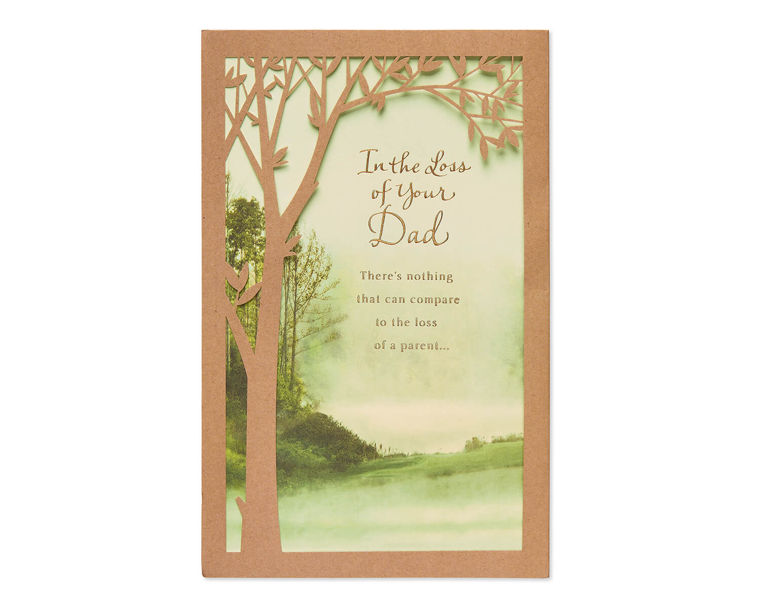 Loss Of Dad Sympathy Card American Greetings