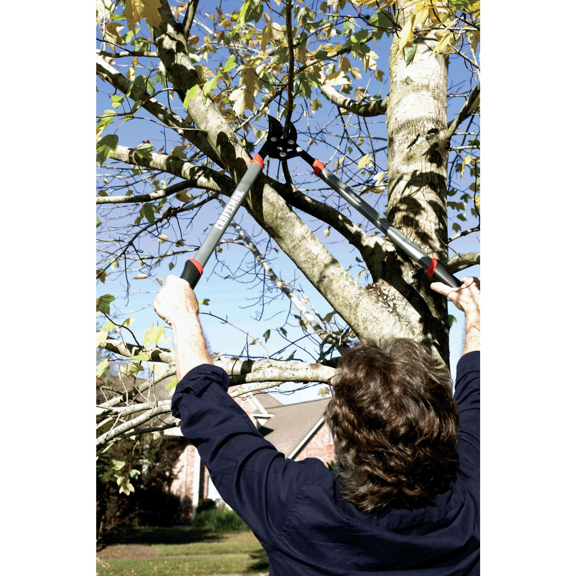Compound bypass lopper being used by a person to cut a branch.