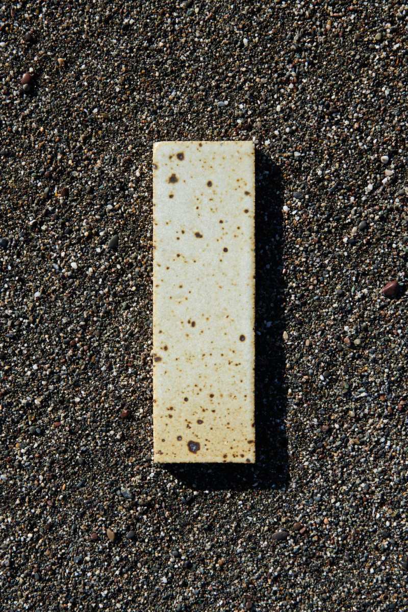 a rectangular green tile with spots lying on the ground.