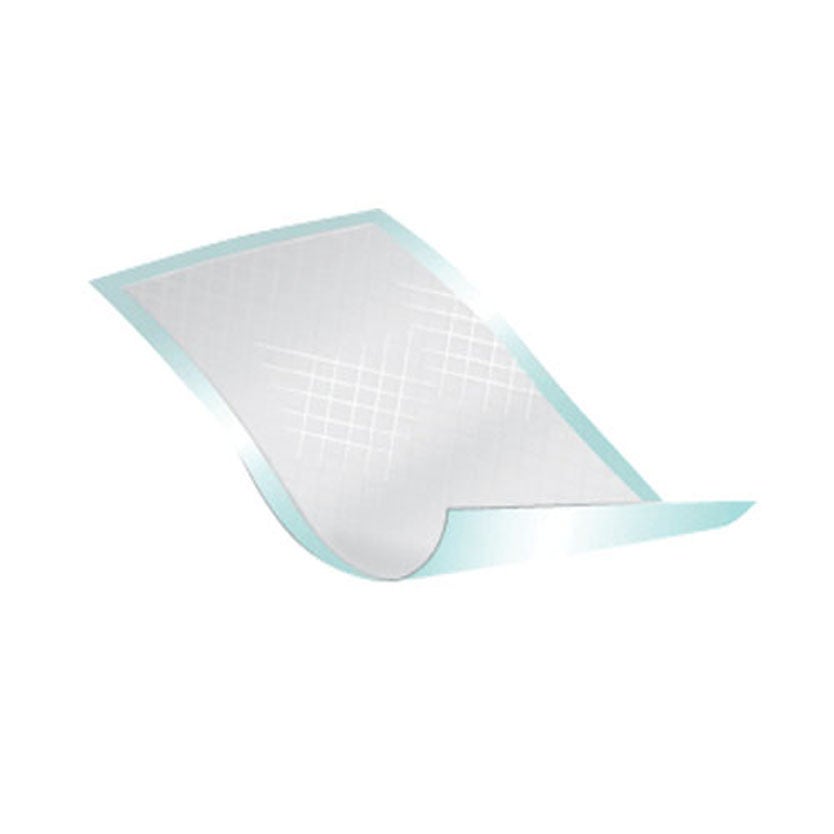 Passport™ Underpad, 22 x 35 Inch