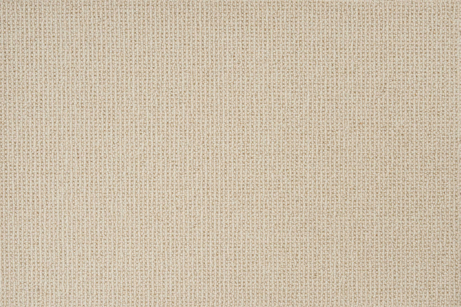 color-rug1