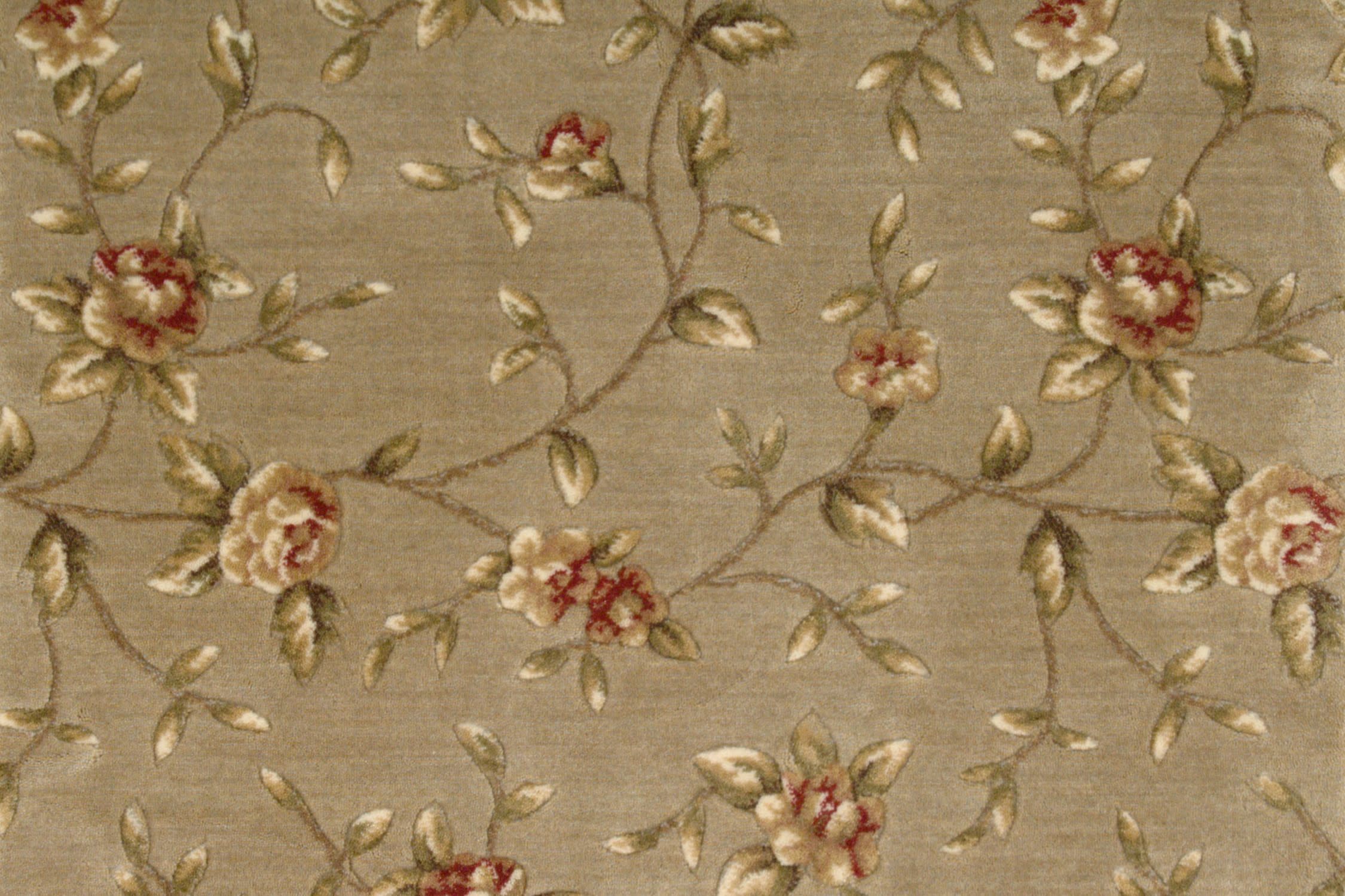 color-rug1