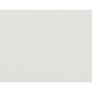 4-Ply Railroad Board, White, 22" x 28", Pack of 50