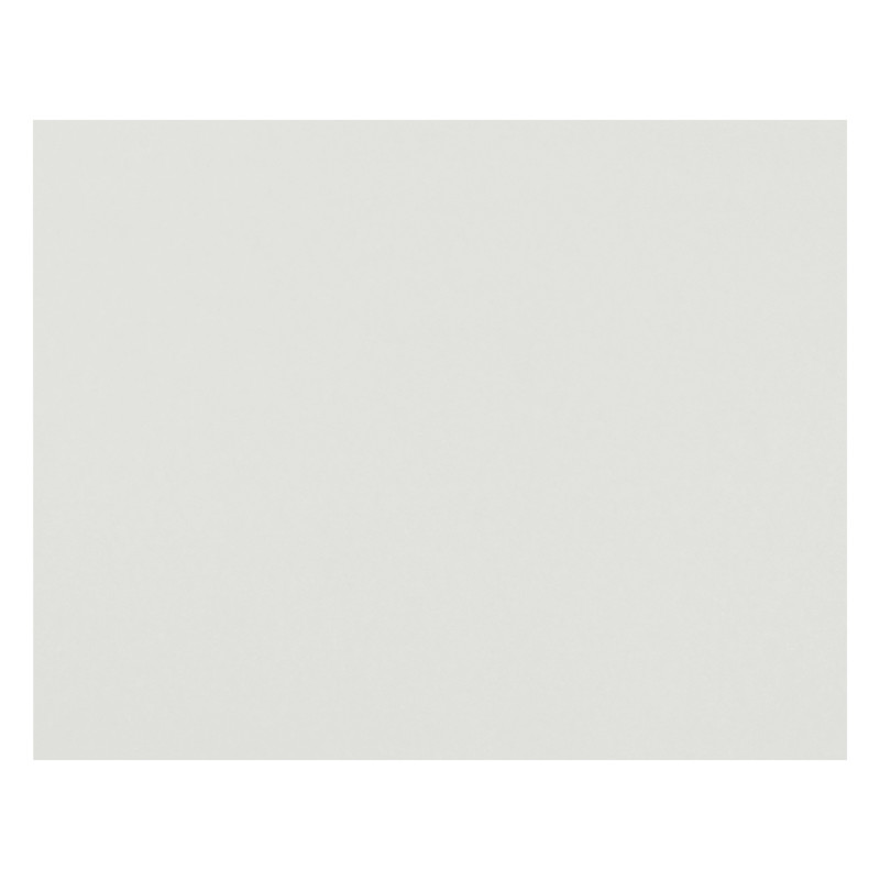 4-Ply Railroad Board, White, 22" x 28", Pack of 50