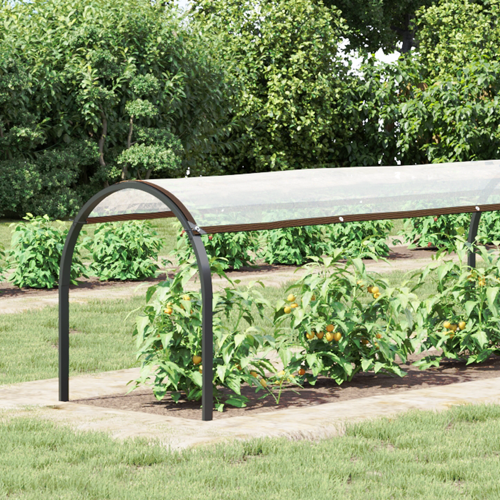 Plantenhoes Doorzichtig 6 x 1,5 m PE image 2