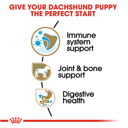 Dachshund Puppy Dry Dog Food