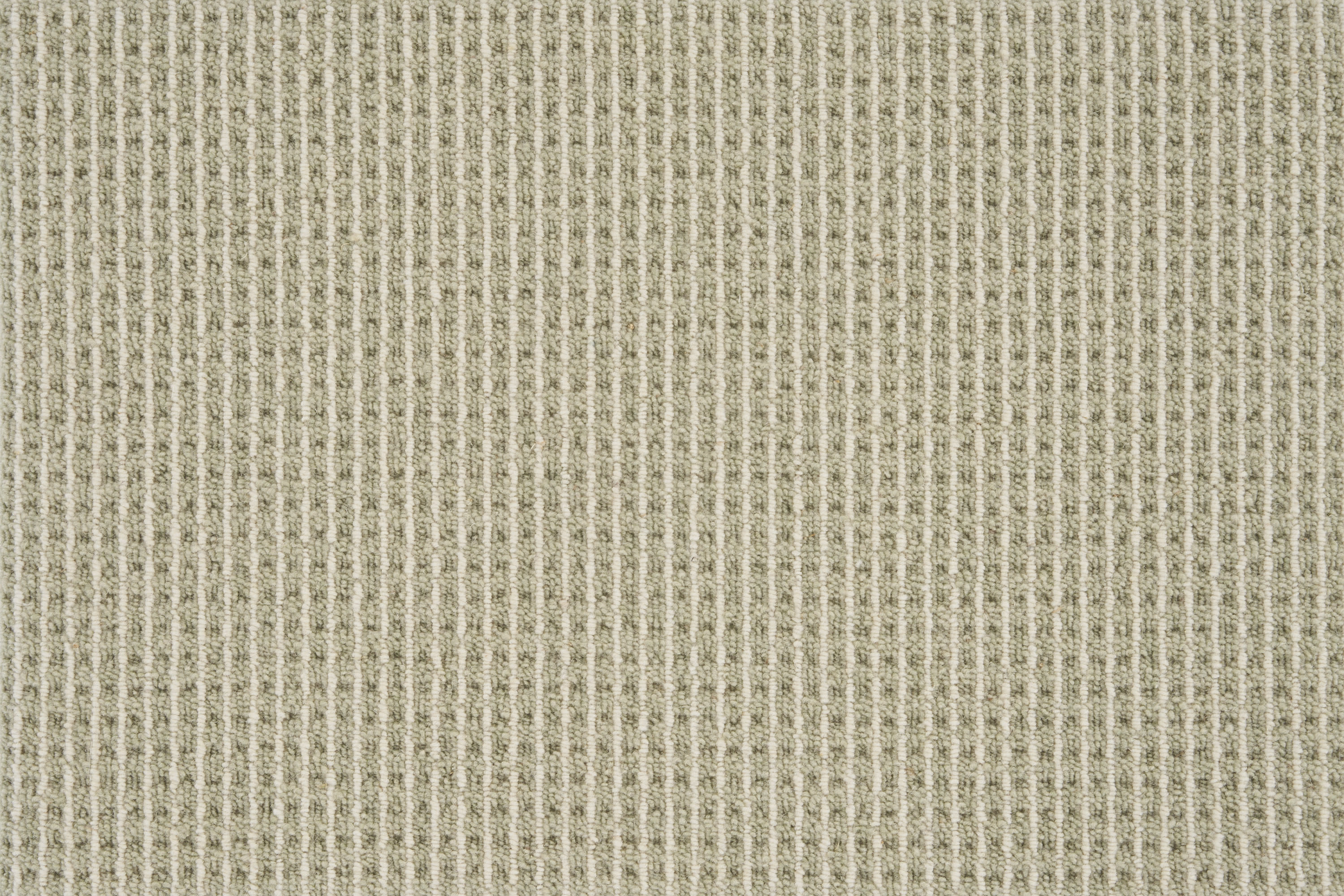 color-rug1