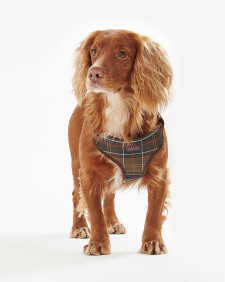 Travel And Exercise Harness Classic Tartan