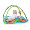 Zippy Zoo™ Activity Gym