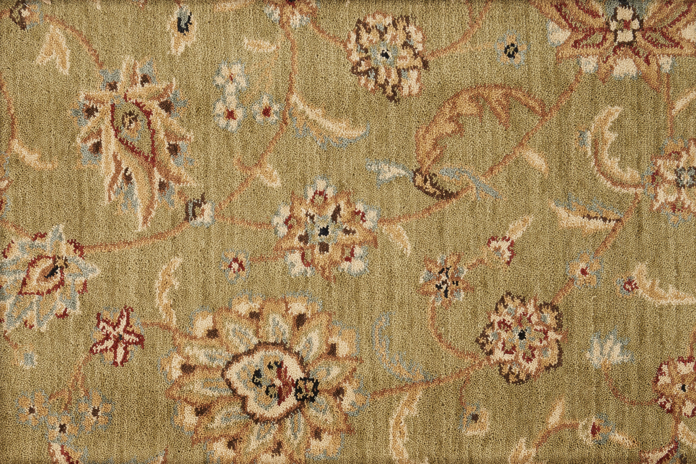 color-rug1