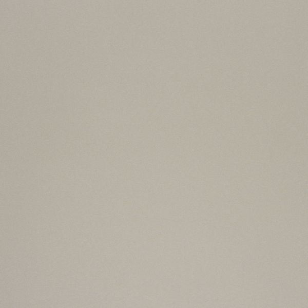 Textured beige wall â€” flat and uninterrupted, filling the frame; evenly lit neutral surface with subtle grain, suggesting an interior space absent of windows, fixtures, or furniture.