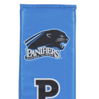Eastern Illinois Panthers Collegiate Pole Pad thumbnail 4