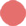 031 Pepite de Corail